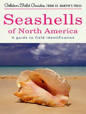 cover image of Seashells of North America